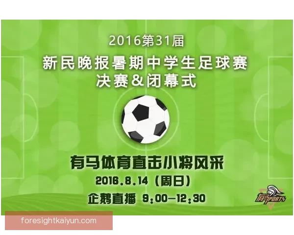 足球体育配件市场持续增长，专业装备需求稳步提升